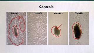 BIO201_Topic169
