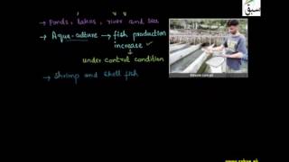 Fish Farming, Fuel