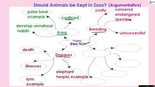 More on Steps for writing an Essay