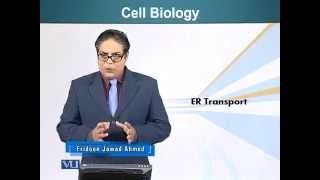 BIO201_Topic157