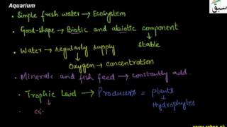 Aquarium, Decomposers