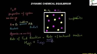 Dynamic Chemical Equilibrium