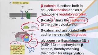 BIO201_Topic118