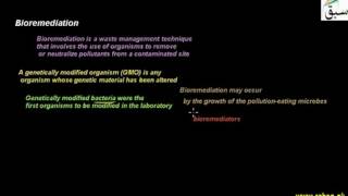 Bioremediation