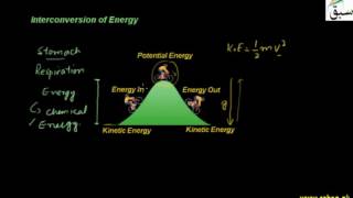 Interconversion of Energy