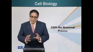 BIO201_Topic162
