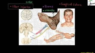 Bacillary Dysentery, Tetanus