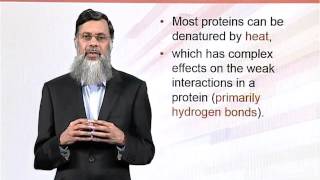 BIO202_Topic073