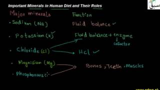 Important Minerals in Human Diet and Their Roles