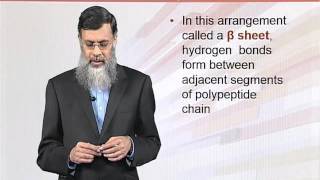 BIO202_Topic059