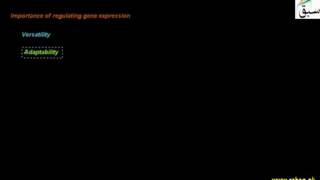 Regulation of Gene Expression