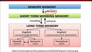 ENG511_Topic008
