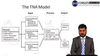 Advance in Human Resources MGT712 LECTURE 22