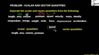 Problem-Scalar and Vector Quantities