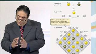 BIO201_Topic051