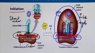 BIF732_Topic013