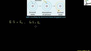 Spontaneous and Stimulated Emission