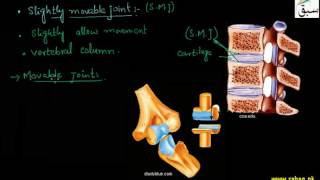 Types of Joints