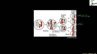 Sources of variations