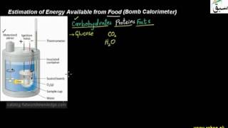 Estimation of Energy Available from Food(Bomb Calorimeter)