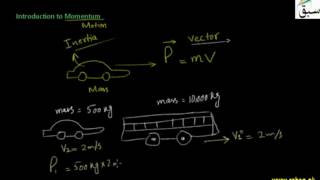 Introduction to Momentum