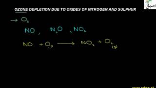 Ozone Depletion due to Oxides of Nitrogen and Sulphur