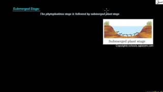 Hydrosere