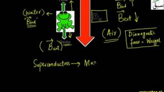 More on Diamagnetic Material