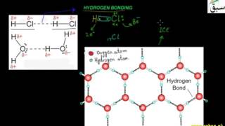 Hydrogen Bonding