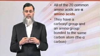 BIO202_Topic030