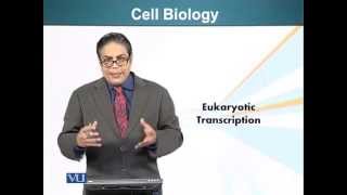 BIO201_Topic096