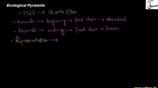 Ecological Pyramids