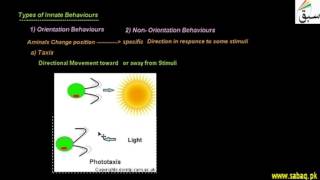 Innate Behaviour