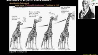Inheritance of Acquired Charateristics