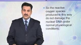 BIO302_Topic062
