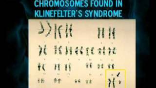 PSY610_Lecture11
