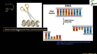 Advance Recombinant DNA Technology, How to Get a Gene