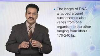 BIO302_Topic033