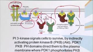 BIO201_Topic115