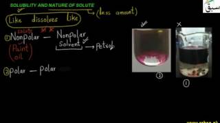 Solubility and Nature of Solute