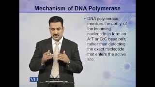 BIO302_Topic040