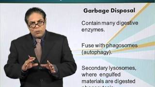 BIO201_Topic019