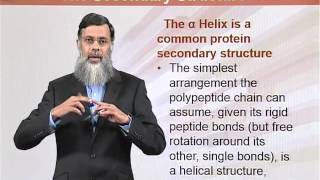 BIO202_Topic056