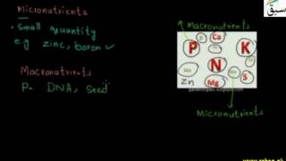 Macronutrients, Micronutrients