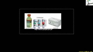 Achievements of Genetic Engineering