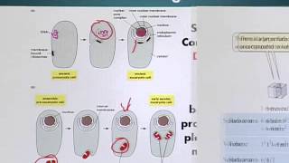 BIO201_Topic147