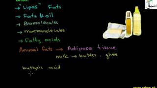 Lipids