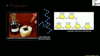 Polysaccharides