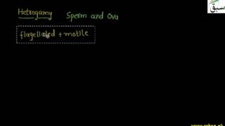The Land Adaptions of Bryophytes