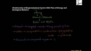 Relationship of Biological Cycle With Flow of Energy and Ecological Balance
